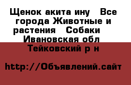 Щенок акита ину - Все города Животные и растения » Собаки   . Ивановская обл.,Тейковский р-н